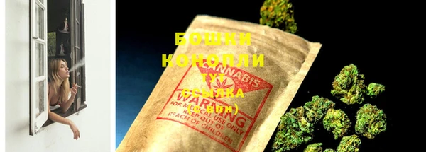 крисы Бугульма