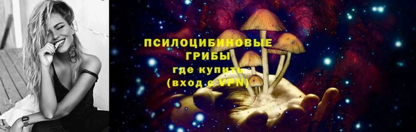 прущий лед Бородино