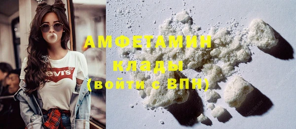 прущий лед Бородино