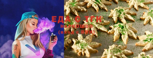 прущий лед Бородино