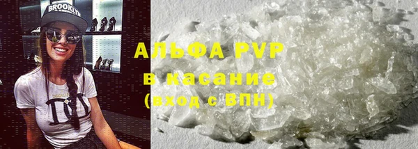 прущий лед Бородино