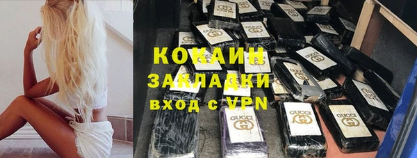 прущий лед Бородино