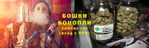 крисы Бугульма