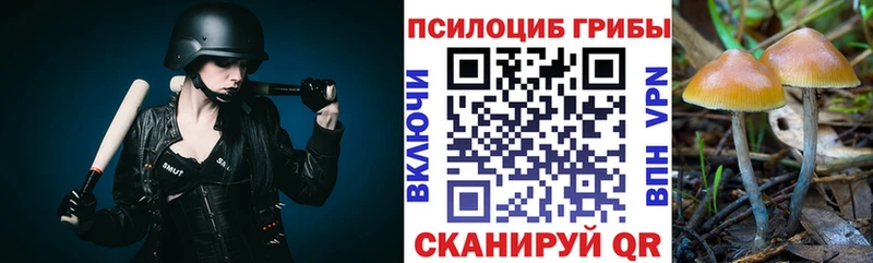 Галлюциногенные грибы ЛСД  Белгород 
