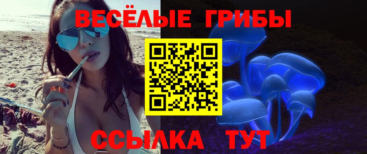 Псилоцибиновые грибы мухоморы Белгород