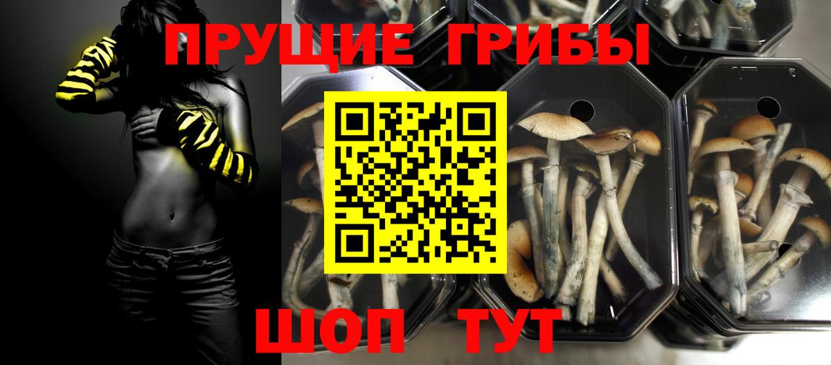 Белгород  Галлюциногенные грибы Psilocybine cubensis  Псилоцибиновые грибы прущие грибы  Вход с VPN 