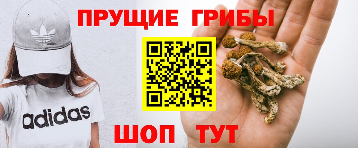 Псилоцибиновые грибы MAGIC MUSHROOMS  Псилоцибиновые грибы мухоморы  наркошоп  Белгород 